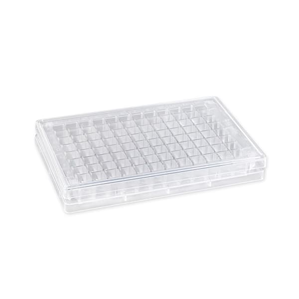 Falcon 96 Square Well Angled Bottom Plate and Lid, Not Treated, Sterile, 5/Pack, 5/Case