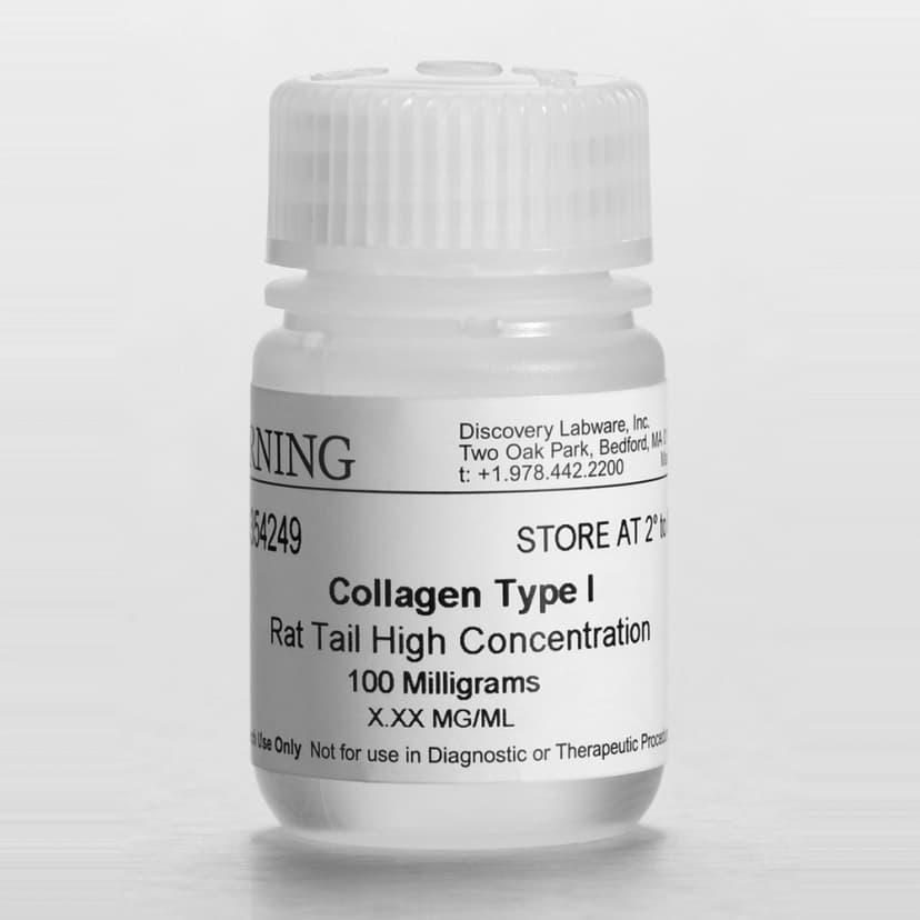 Corning Collagen I, High Concentration, Rat Tail, 100mg
