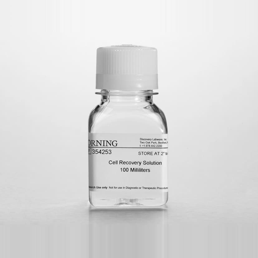 Corning Cell Recovery Solution, 100mL