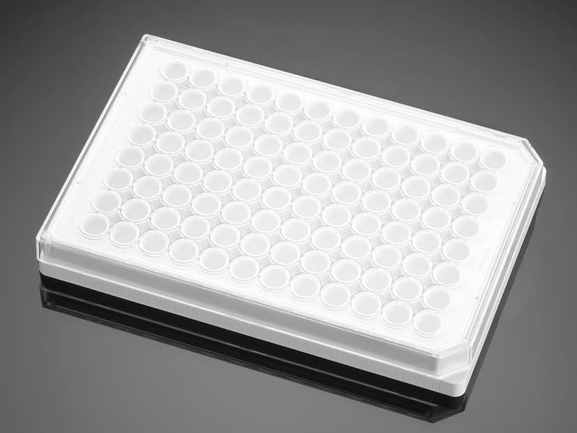 Corning BioCoat Poly-D-Lysine 96 Well White/Opaque Flat Bottom TC-Treated Microplate, with Lid, 5/Pack, 50/Case