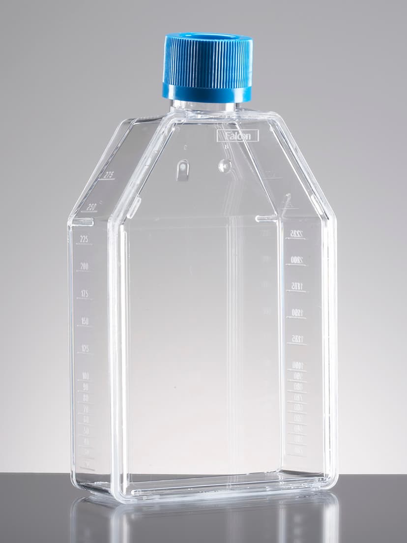 Corning BioCoat Laminin 75cm² Rectangular Canted Neck Cell Culture Flask with Plug Seal Cap