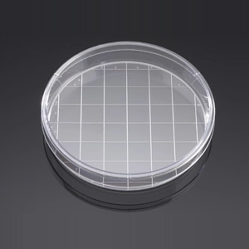 Corning BioCoat Poly-D-Lysine 150mm TC-Treated Gridded Culture Dishes, 5/Pack, 5/Case, Nonsterile