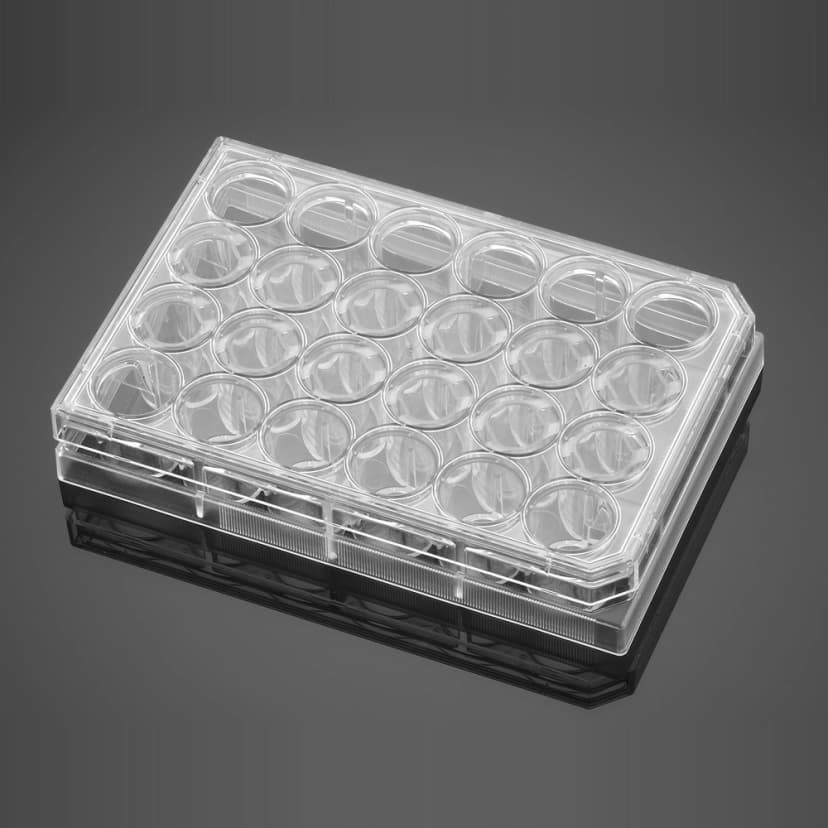 Corning BioCoat Control Inserts with 8.0µm Pore Polyester (PET) Membrane in two 24 Well Plates, 12/Pack, 24/Case