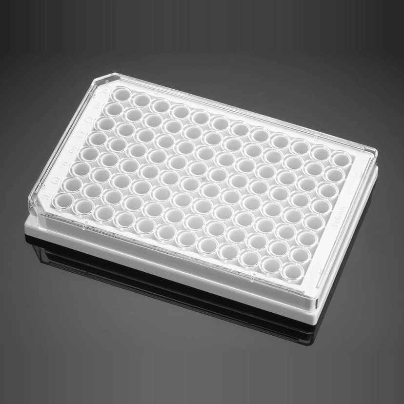 Corning BioCoat Poly-D-Lysine 96 Well White/Clear Flat Bottom TC-Treated Microplate, with Lid, 5/Case