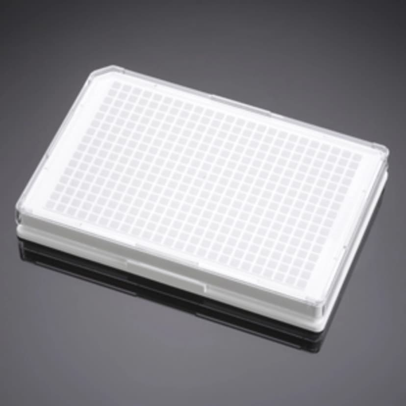Corning BioCoat Poly-D-Lysine 384 Well White Flat Bottom TC-Treated Microplate, with Lid, 5/Case