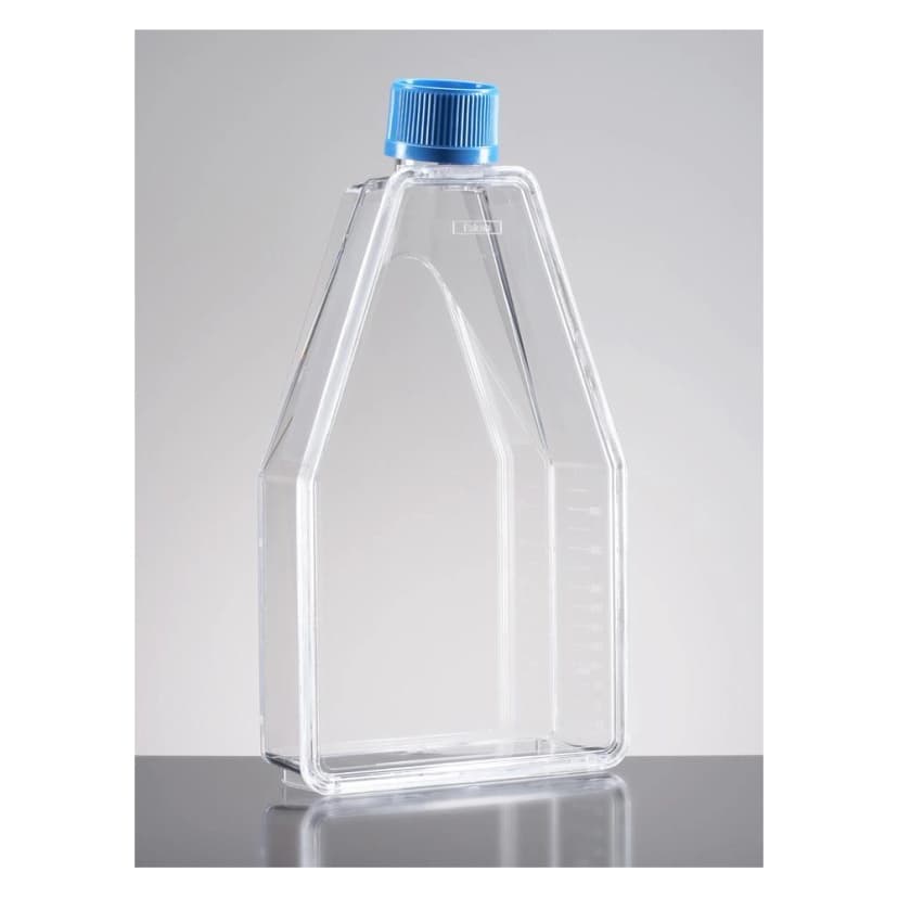 Falcon® 150cm² Rectangular Canted Neck Cell Culture Flask with Plug Seal Cap