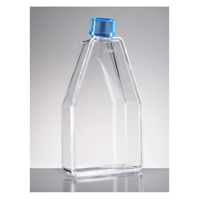 Falcon® 150cm² Rectangular Canted Neck Cell Culture Flask with Vented Cap