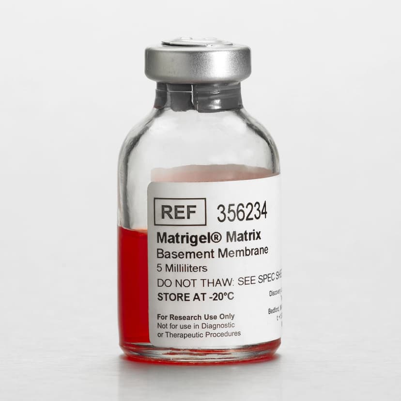 Corning Matrigel Basement Membrane Matrix, *LDEV-Free, 5mL