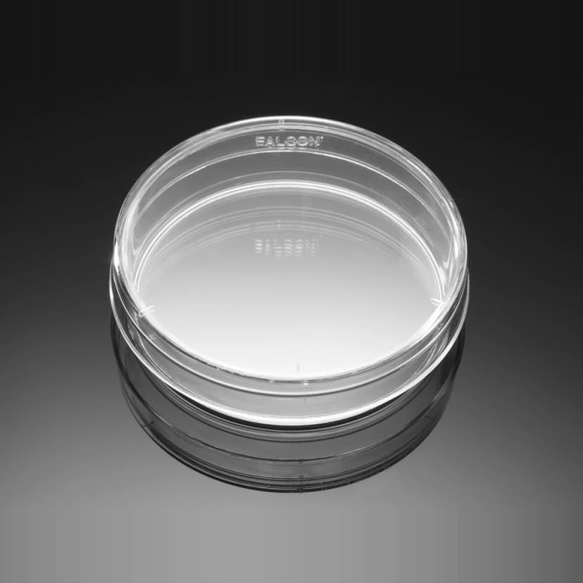 Corning BioCoat Poly-D-Lysine 60mm Culture Dishes, 20/Pack, 100/Case, Nonsterile