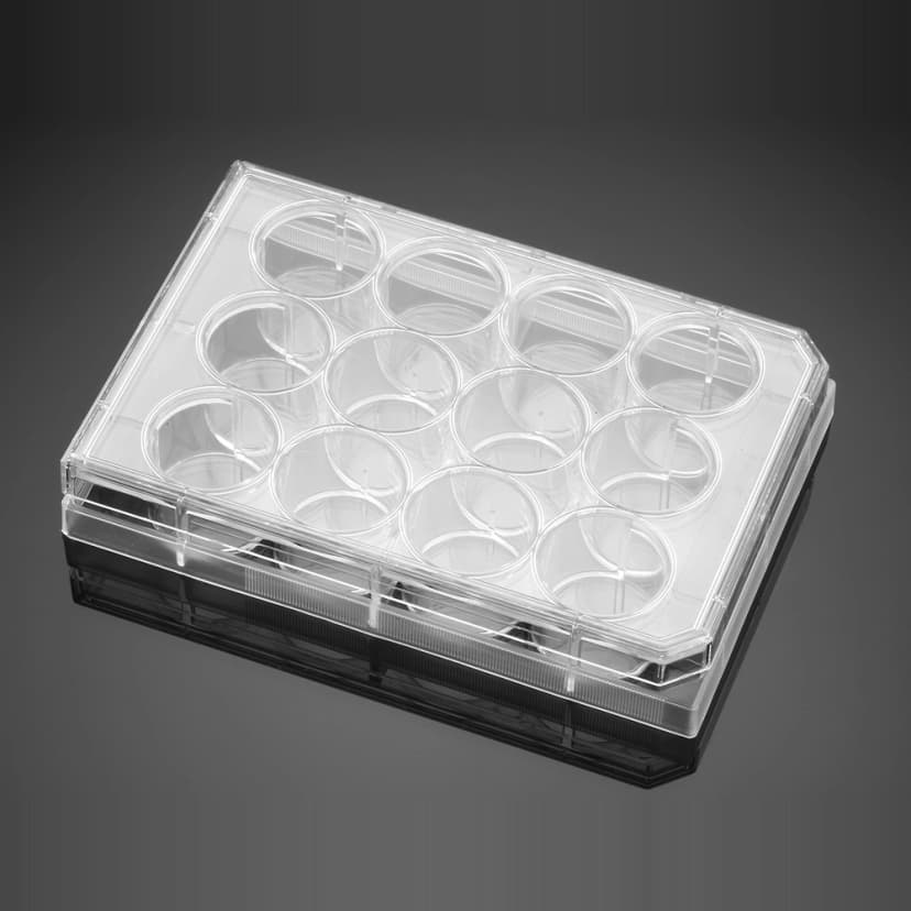 Corning BioCoat Collagen I 12 Well Clear Flat Bottom TC-Treated Multiwell Plate with Lid, 5/Pack, 50/Case