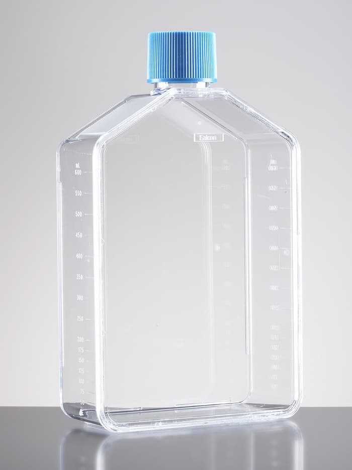 Corning BioCoat Poly-D-Lysine 175cm² Flask with Vented Cap