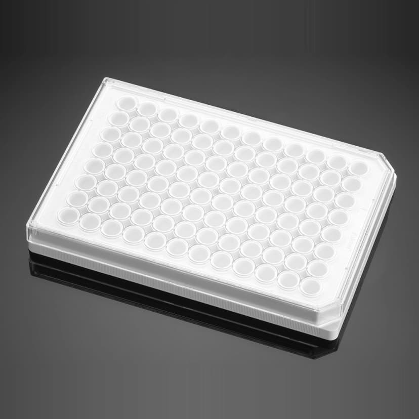 Corning BioCoat Poly-D-Lysine 96 Well White Flat Bottom Microplate, with Lid, 20/Pack, 80/Case