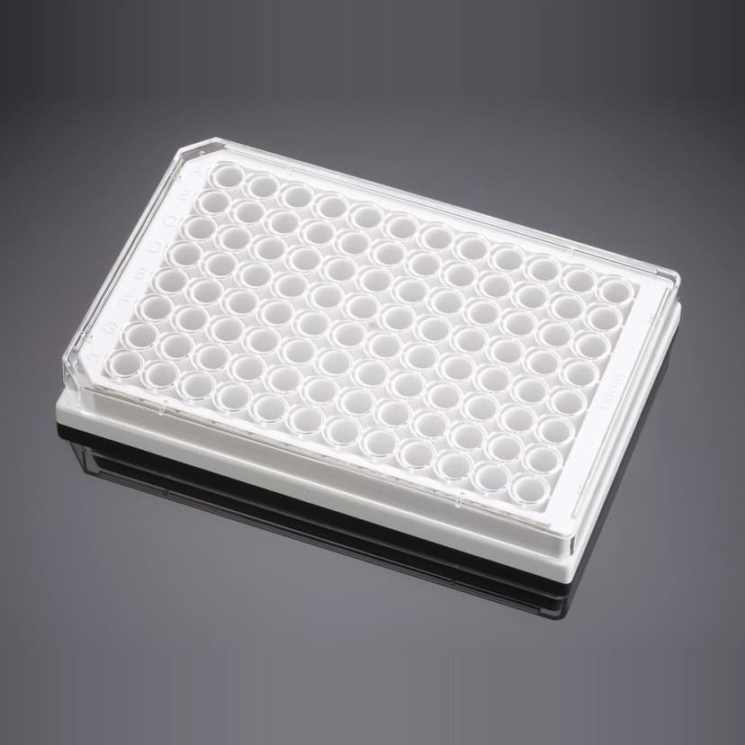 Corning BioCoat Poly-D-Lysine 96 Well White/Clear Flat Bottom Microplate, 20/Pack, 80/Case