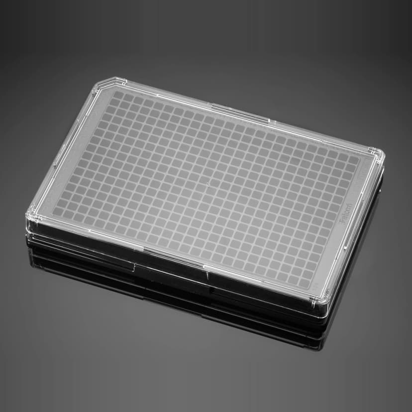 Corning BioCoat Collagen I 384 Well Black/Clear Flat Bottom Microplate, 20/Pack, 80/Case