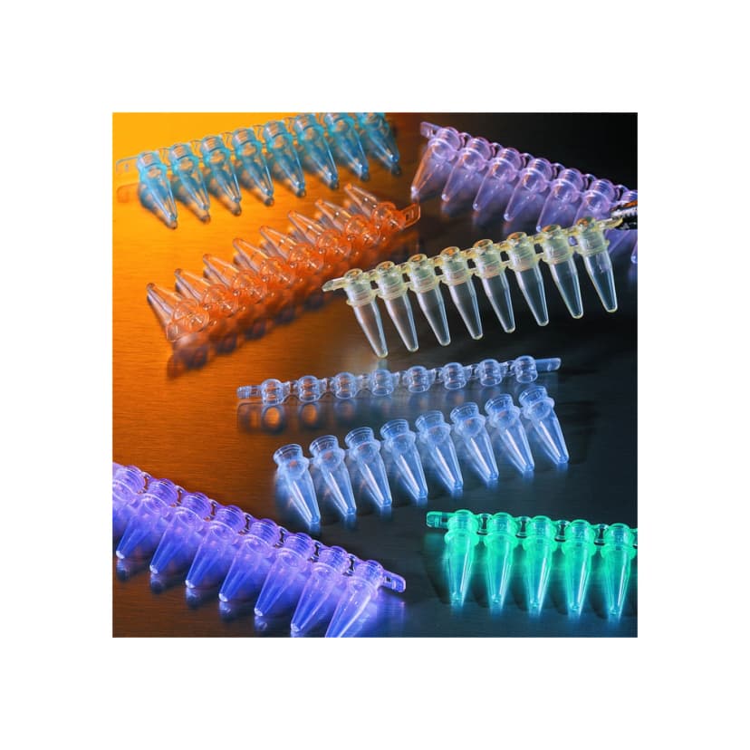 Thermowell GOLD PCR 1 x 8 Cap Strips, Domed, Clear