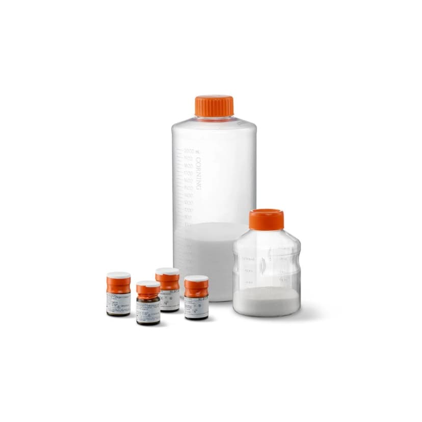 Corning Untreated Microcarriers, 10g Vial