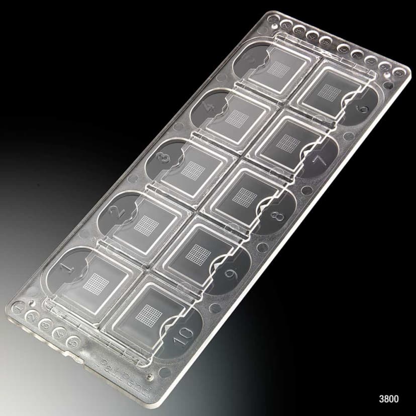 Quick-Read Precision Grid Urinalysis Slide with Counting Grid, 10 Wells/Slide, 100 Slides/Box (1000 Tests)