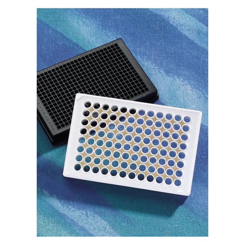 Corning 96 Well Flat Clear Bottom Black Polystyrene Poly-D-Lysine Coated Microplates, 20 per Bag, with Lid, Aseptically Manufactured