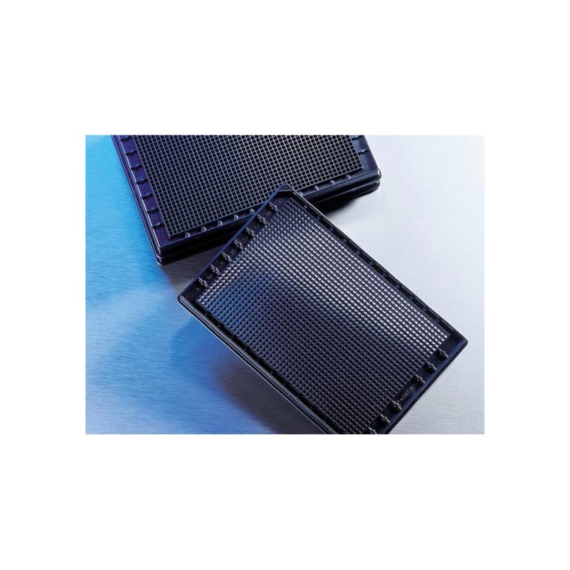 Corning 1536 Well Black with Clear Flat Bottom Polystyrene TC-Treated Microplate, 10 per Bag, with Lid, With Generic Bar Code, Sterile