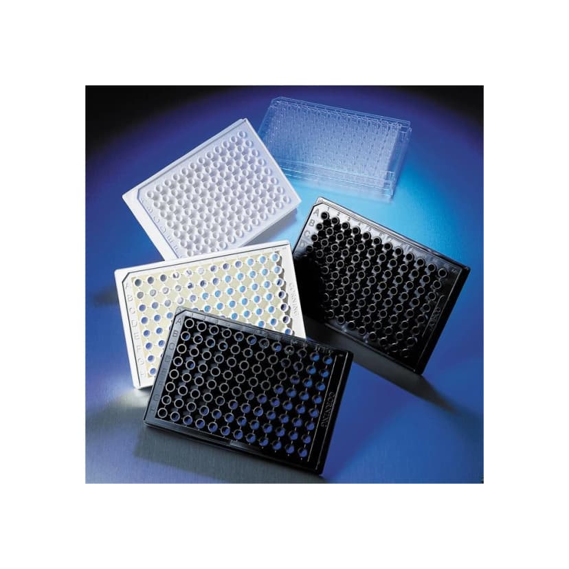 Corning 96 Well White Flat Bottom Polystyrene Not Treated Microplate, 25 per Bag, without Lid, Nonsterile