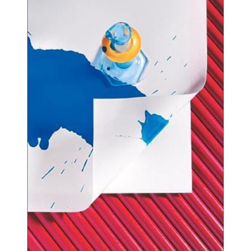 POLYSHIELD ®