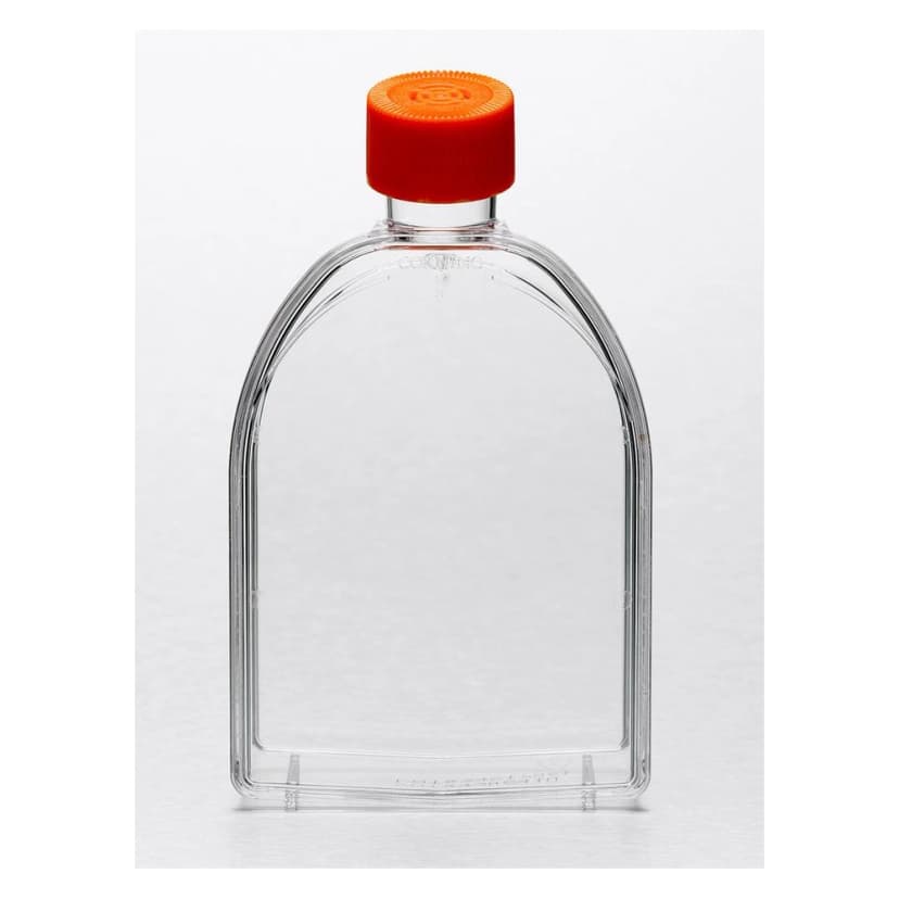 Corning 75cm U-Shaped Canted Neck Cell Culture Flask with Vent Cap