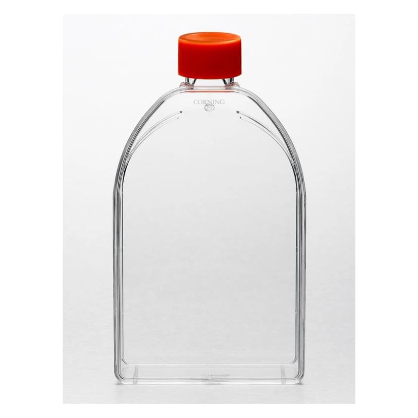 Corning 150cm Canted Neck Cell Culture Flask with Plug Seal Cap