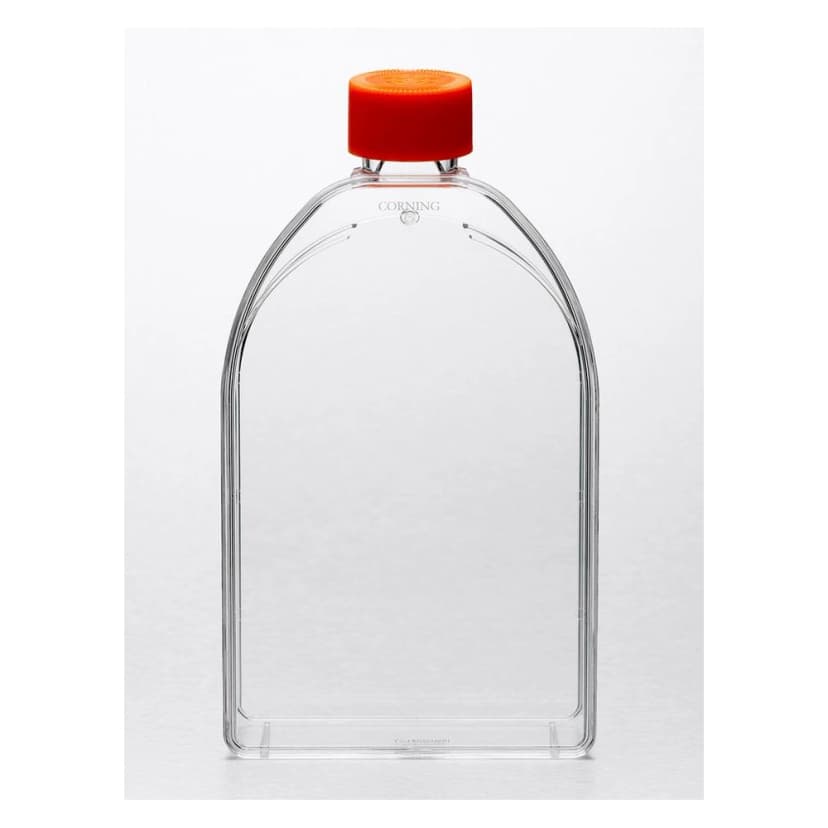 Corning 150cm Canted Neck Cell Culture Flask with Vent Cap