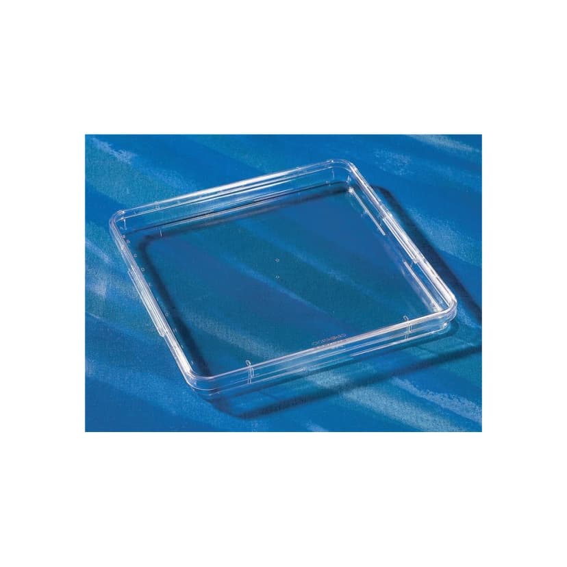 Corning 245mm Square Low Profile BioAssay Dish without Handles, not Tissue Culture-Treated , Bulk Packaged, 5/Bag, 20/Case
