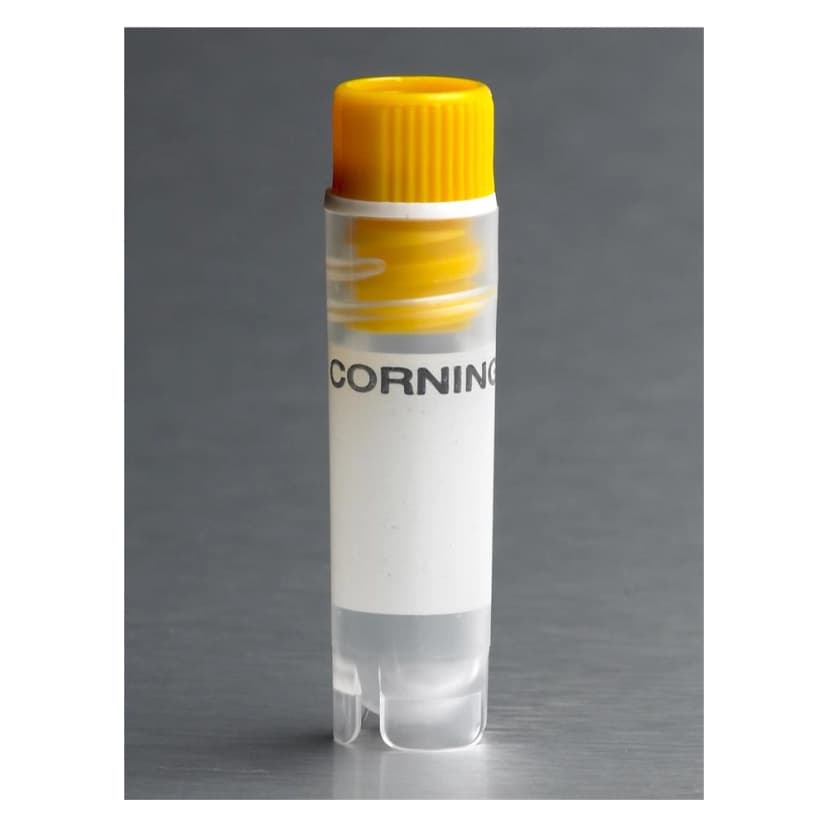 Corning 2mL Yellow Cap Internal Threaded Polypropylene Cryogenic Vial, Self-Standing with Round Bottom