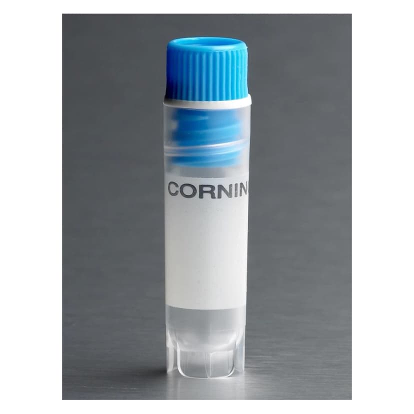 Corning 2mL Blue Cap Internal Threaded Polypropylene Cryogenic Vial, Self-Standing with Round Bottom