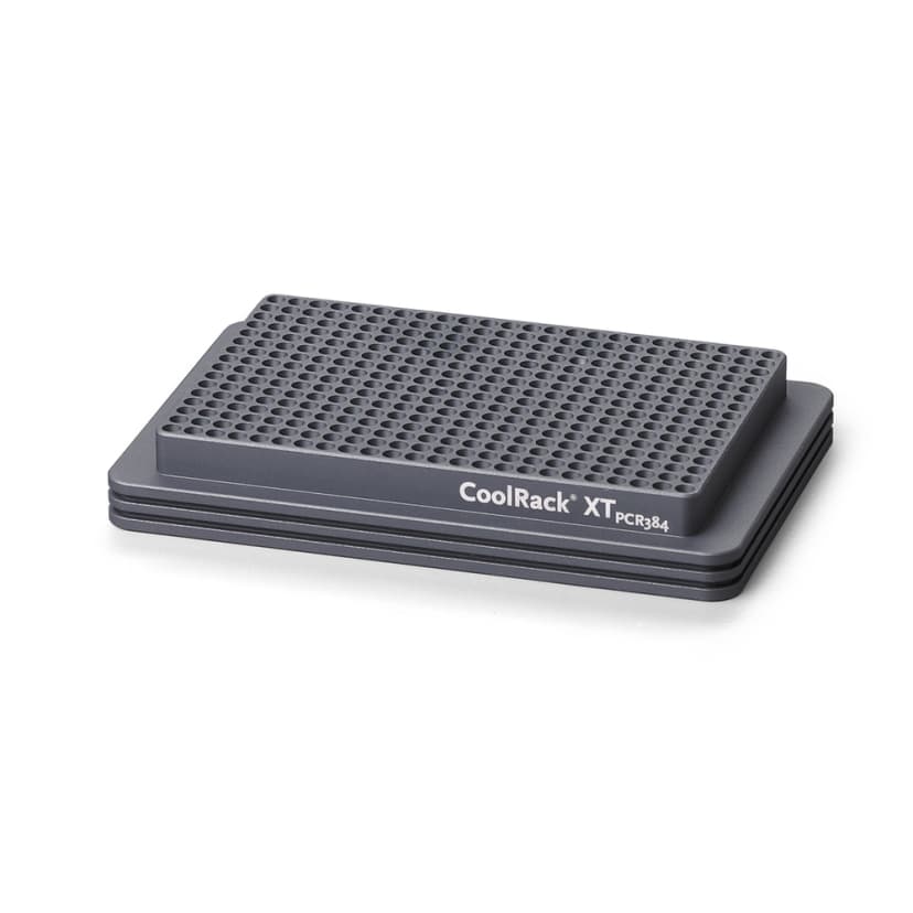 CoolRack XT PCR384 for 384-well plate