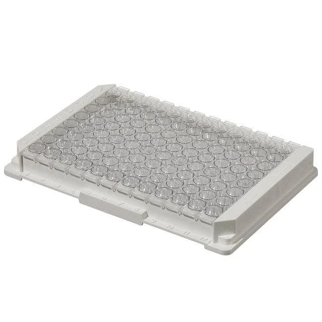Module Plate Nunc Immuno MaxiSorp C8x12 StarWell w/Frm NS PS Cert 350 ul Well