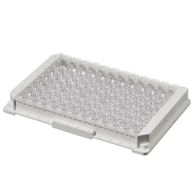 Module Plate Nunc Immuno PolySorp C8x12 w/Frm NS PS 350 ul Well