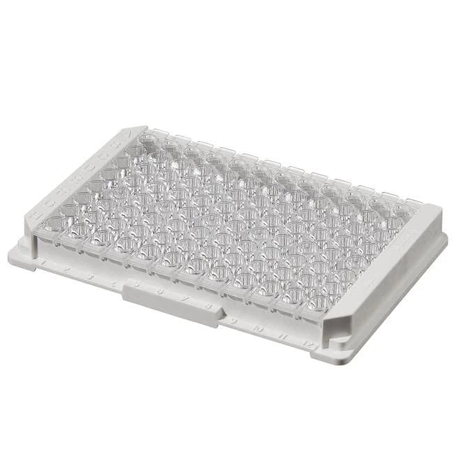 Module Plate Nunc Immuno MaxiSorp C8x12 w/Frm NS PS Cert 350 ul Well