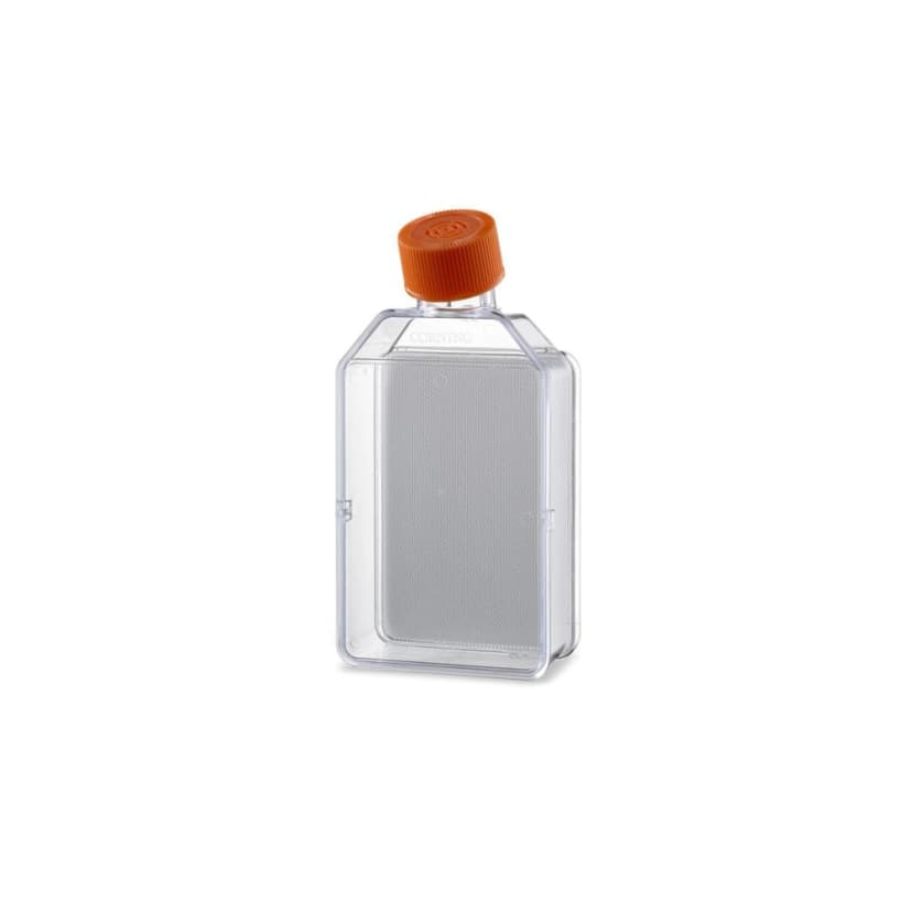 Corning Elplasia Round Bottom, Ultra-Low Attachment, Flask, 12K, 850um Diameter, 650um Depth, Ind Packaged, Sterile, 1/5