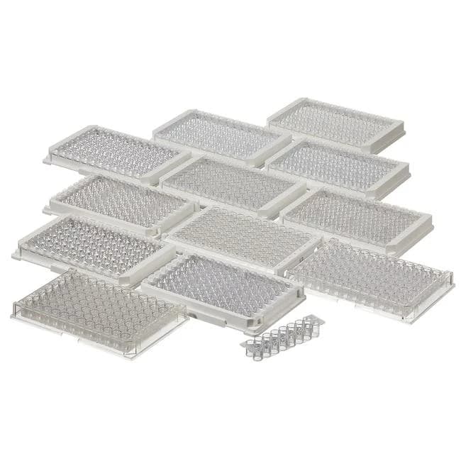 Module Plate Nunc Immuno MediSorp F8x12 w/Frm NS PS 400 ul Well