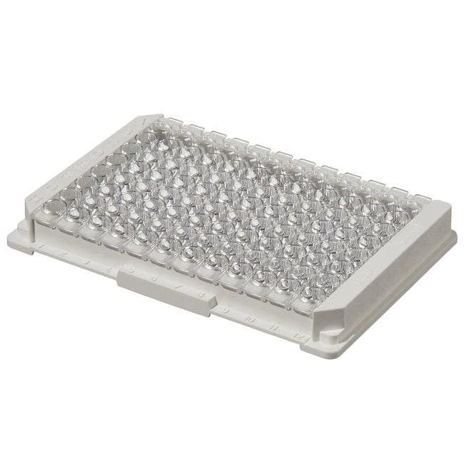 Module Plate Nunc Immuno MaxiSorp U8x12 w/Frm NS PS Cert 300 ul Well