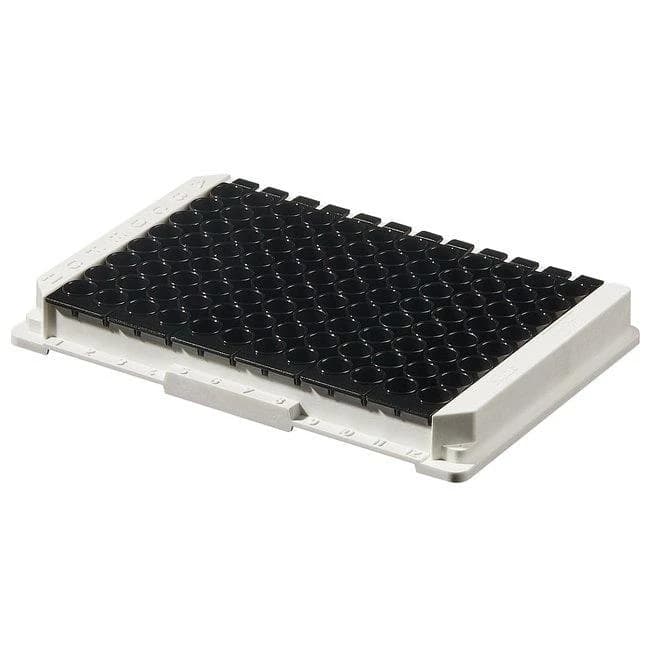 Module Plt FluoroNunc MaxiSorp F16x6 Blk w/Frm NS PS Cert 400 ul Well