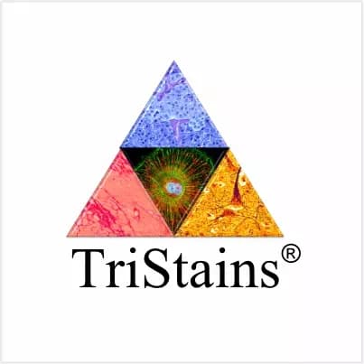 Gram Stain Kit - 30mL