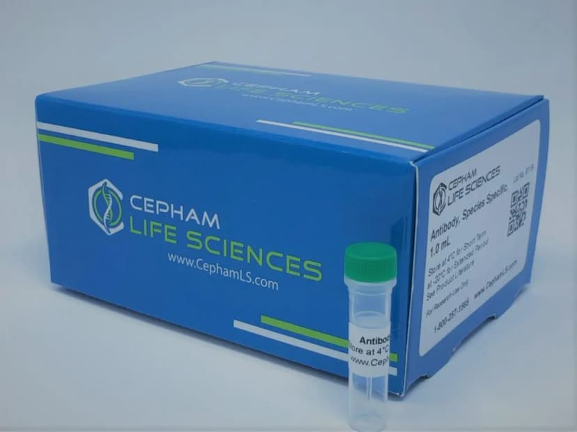 Cryo Box, 0.5ml, 10*10, 1/pk, 56/cs