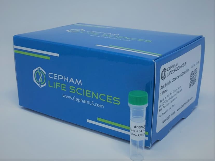 Cryo Box, 1.2ml, 10*10, 1/pk, 48/cs