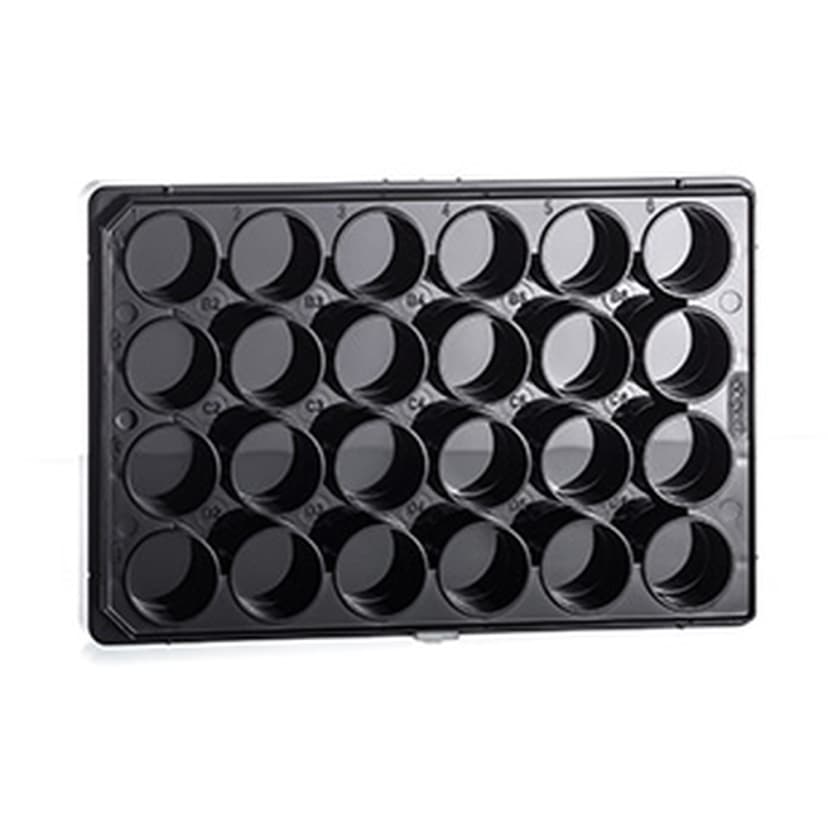 24 WELL PLATE BLACK 17,8/16 MM,
