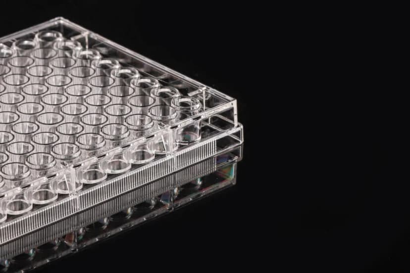 96 Well Cell Culture Plate, flat, TC, sterile 10/pk, 100/cs