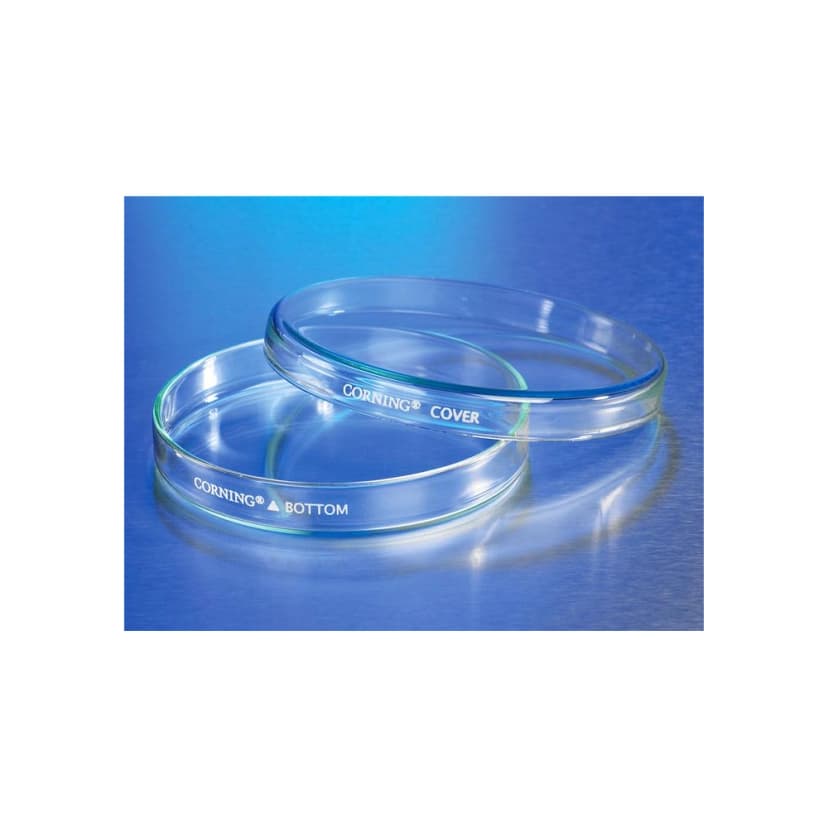 Corning 150x20mm Petri Dish with Cover