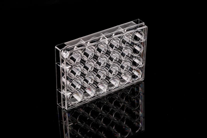 24 Well Cell Culture Plate, Flat, TC, sterile 1/pk, 50/cs