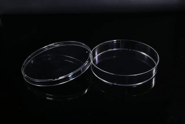 100mm Cell Culture Dish, TC, sterile 5/bag, 300/cs