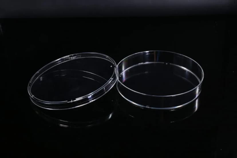100mm Cell Culture Dish, TC, sterile 5/bag, 300/cs