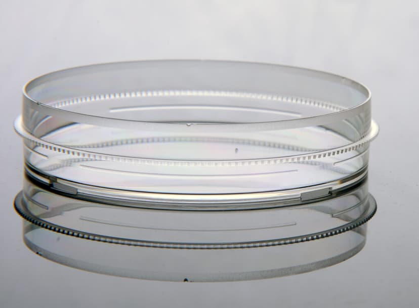 100mm Cell Culture Dish, with Gripping Ring, TC, Sterile 20/bag, 300/cs