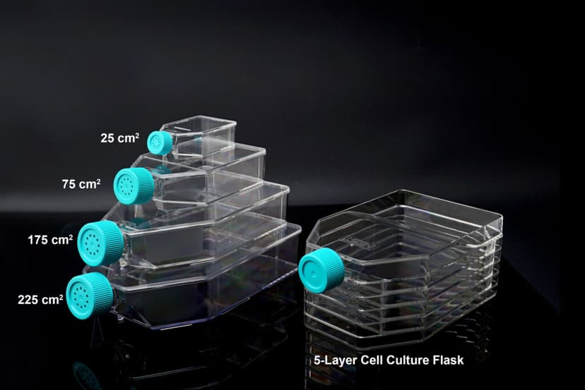 25cm2 Cell Culture Flask, Vent Cap, TC, sterile 10/pk, 200/cs